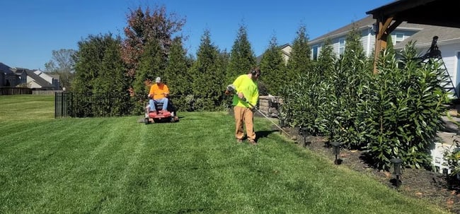 Landscaping professional at work